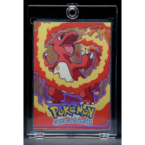 Gaming Card 20 Point Magnetic with Penny Sleeve 3rd GENERATION. 